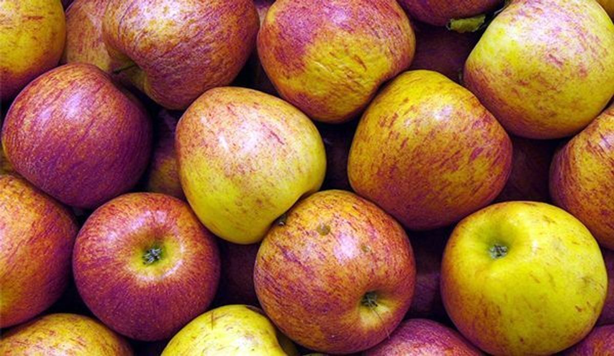Apfelsorten: Vielfältige Apfelarten