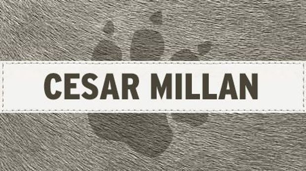 Cesar Millan - Der Hundeflüsterer
