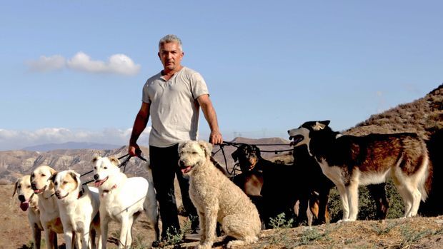 Cesar Millan mit Hunden in der Natur